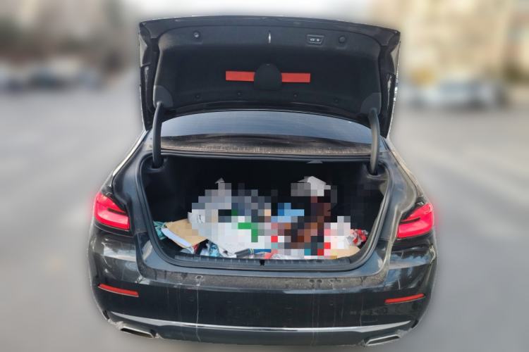 Used BMW 5 Series 2021 530Li Leading Luxury Package