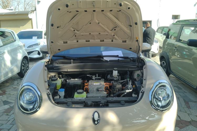 Used ORA Good Cat 2024 401 km Luxury Version
