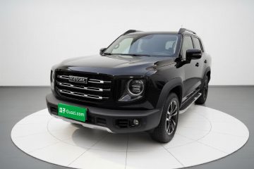 Used Haval DARGO 2021 2.0T DCT 4x4 Chinese Rural Dog Edition
