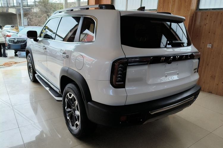 Used Haval DARGO 2021 2.0T DCT 4x4 Chinese Rural Dog Edition
