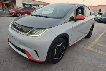 Used BYD Dolphin 2021 405 km Free Version