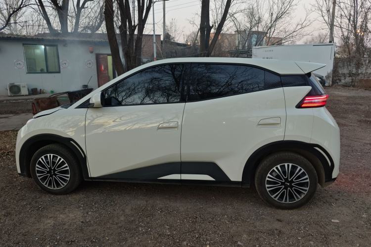 Used BYD Seagull 2025 Intelligent Driving Version 305 km Dynamic Edition
