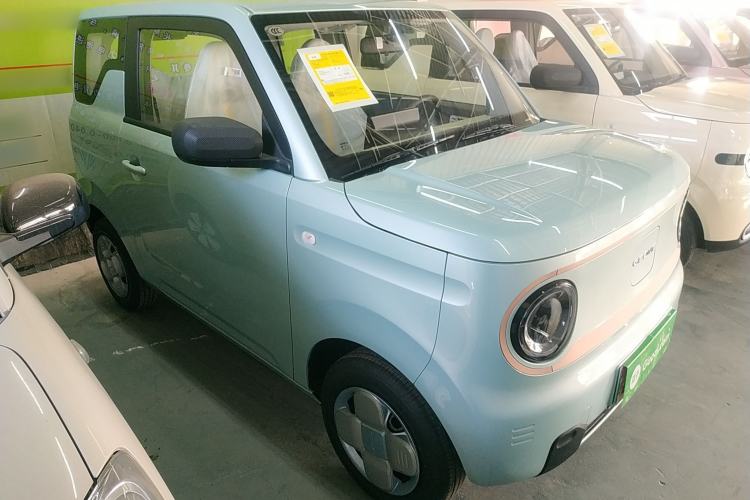 Used  Panda 2024 Panda Mini 200km Endurance Bear
