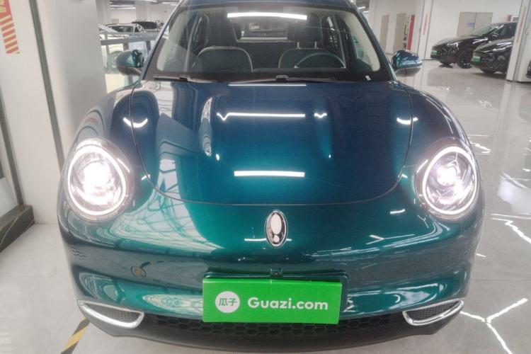 Used ORA Good Cat 2023 401 km Standard Range Luxury Version Lithium Iron Phosphate
