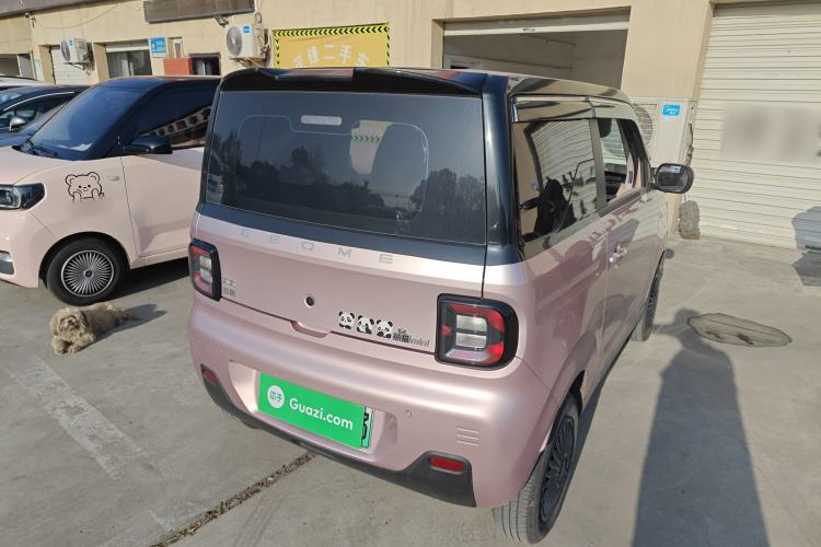 Used  Panda 2023 Panda Mini 200km Endurance Bear
