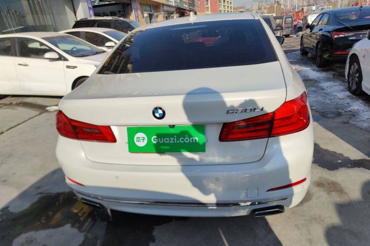 Used BMW 5 Series 2020 530Li Leading Edition Luxury Package
