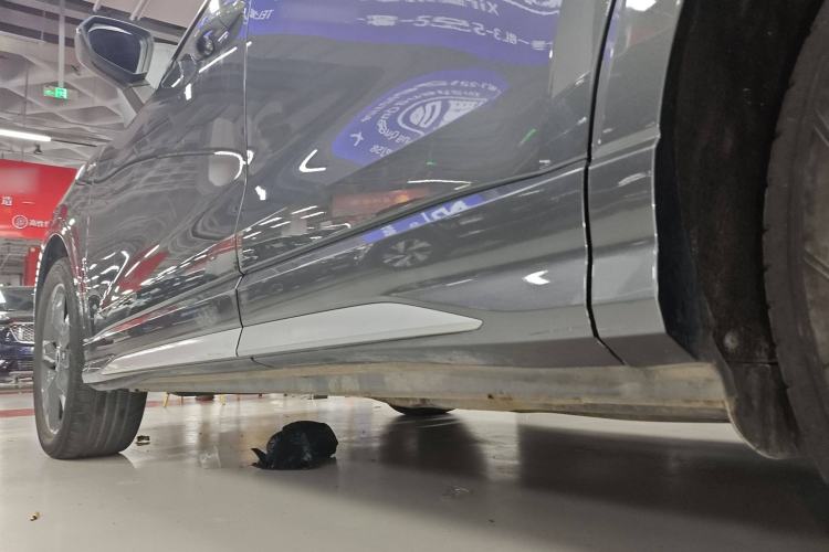 Used Audi Q3 2022 35 TFSI Fashion Dynamic Model
