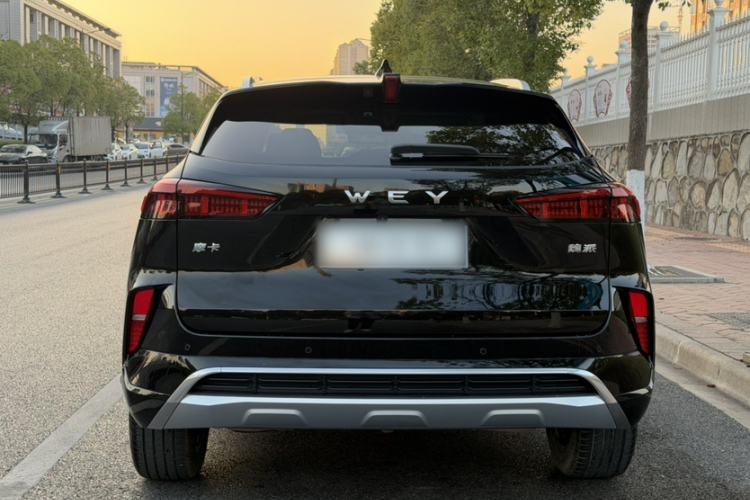 Used Wey Mocha 2021 2.0T Two-Wheel-Drive Premium Edition
