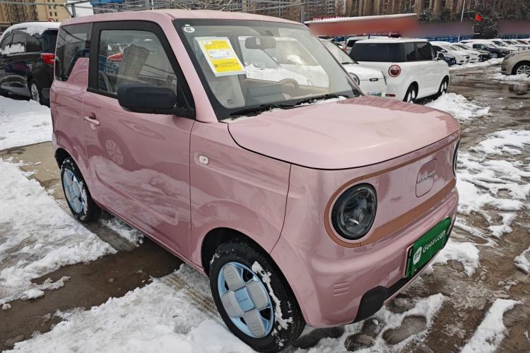 Used  Panda 2024 Panda Mini 200km Endurance Bear
