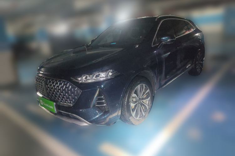 Used Wey Mocha 2021 2.0T Four-Wheel Drive Premium Edition