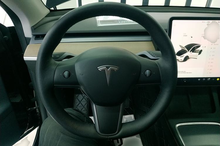 Used Tesla Model Y 2021 Long-Range All-Wheel-Drive Version 3D7
