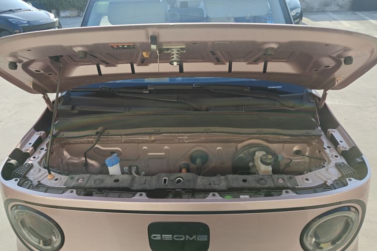 Used  Panda 2023 Panda Mini 200km Endurance Bear
