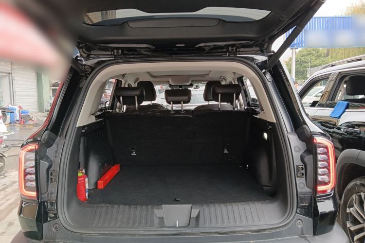 Used Haval DARGO 2024 2.0T DCT Chinese Rural Dog Edition
