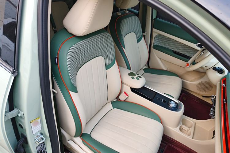 Used ORA Good Cat 2022 Morandi Edition 400km Standard Range Luxury Version Lithium Iron Phosphate
