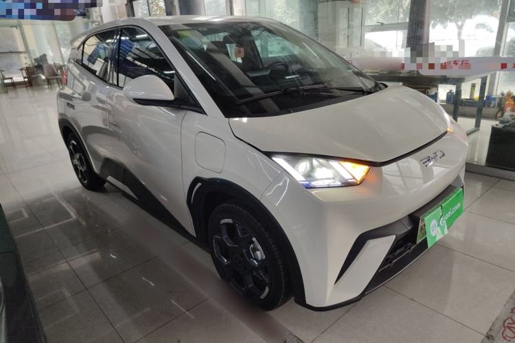 Used BYD Seagull 2024 Honor Edition 305km Freedom Version
