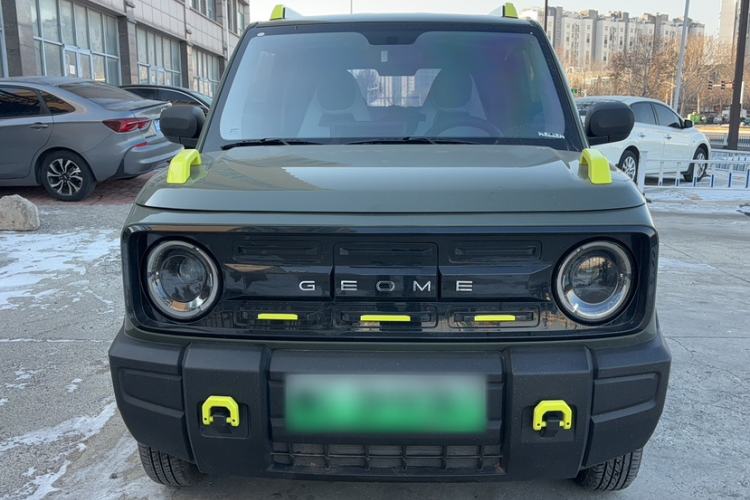 Used  Panda 2024 200km Panda Rider