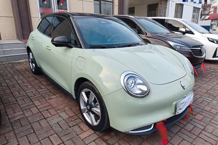 Used ORA Good Cat 2022 Morandi Edition 400km Standard Range Luxury Version Lithium Iron Phosphate
