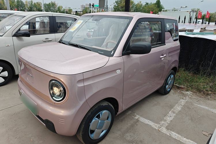 Used  Panda 2024 Panda Mini 200km Endurance Bear
