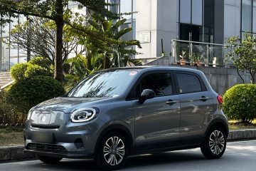 Used Leapmotor T03 2020 400 Luxury Edition