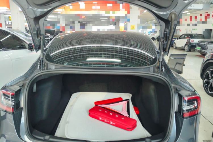 Used Tesla Model 3 2020 Revised Version Standard Range Rear-Wheel Drive – Upgraded Edition
