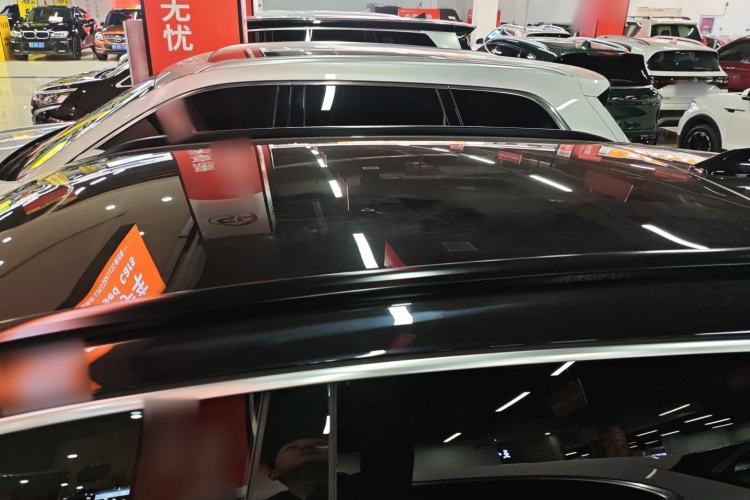 Used Leapmotor C11 2024 Range-Extended 300 Luxury Edition
