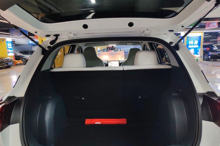 Used  Geome 2025 310km Youth Edition
