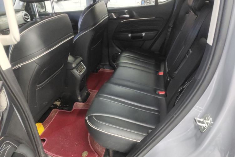 Used Tank 300 2024 2.0T Conqueror
