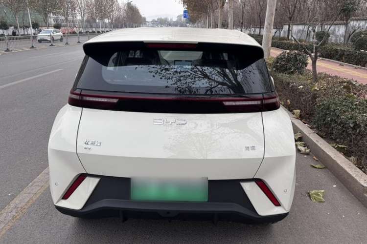 Used BYD Seagull 2025 305 km Free Version
