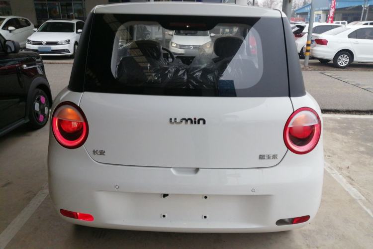 Used  Lumin 2025 205 km Xiangqin Version