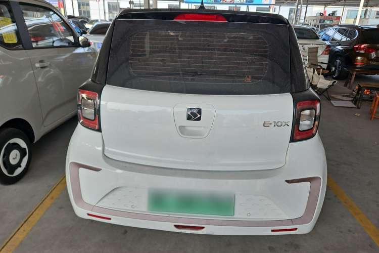 Used SOL E10X 2022 Flower Fairy Design Four-Leaf Clover
