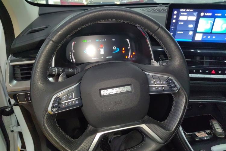 Used Haval H6 2021 National Trend Edition 1.5T Automatic Champion Version