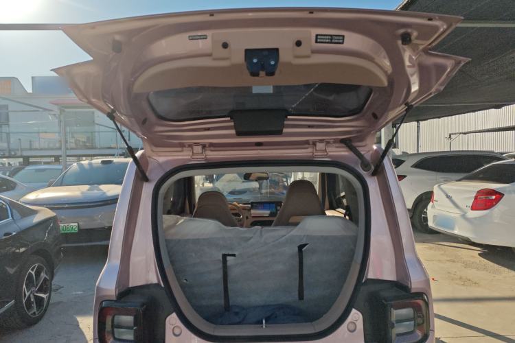 Used  Panda 2024 Panda Mini 200km Endurance Bear
