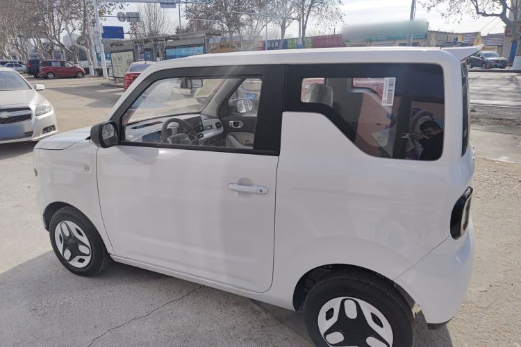 Used  Panda 2025 210 km – Yuanqi Bear