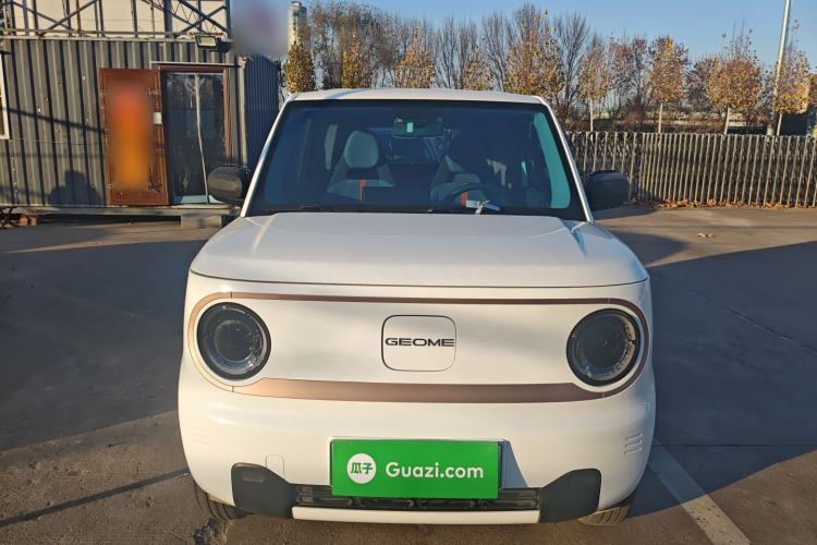 Used  Panda 2024 Panda Mini 200km Longteng PRO Edition
