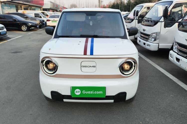 Used  Panda 2024 Panda Mini 200km Endurance Bear
