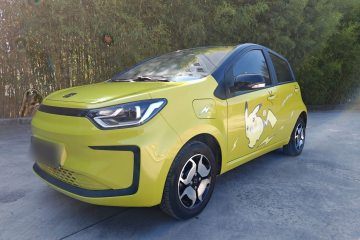 Used SOL E10X 2022 Flower Fairy Style Baby's Breath