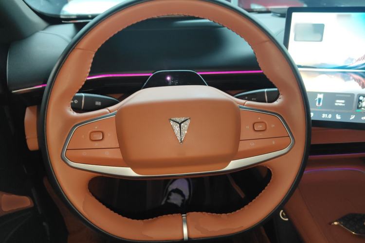 Used  S07 2023 200Max Range-Extended Version
