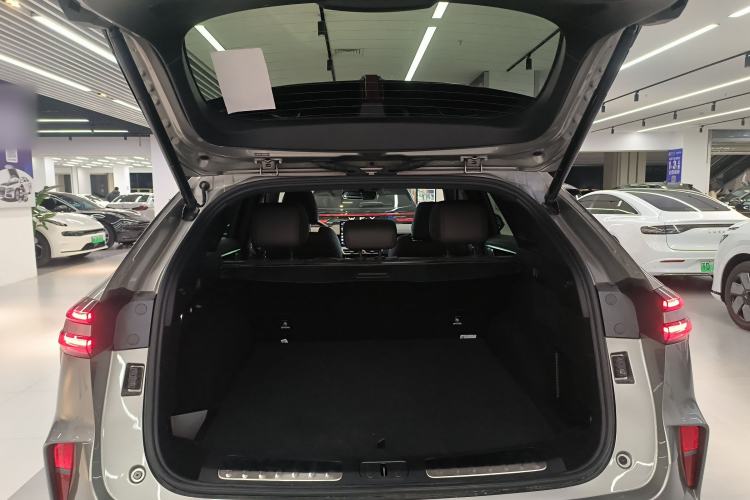 Used Wey Mocha New Energy 2024 Hi4 Four-Wheel Drive Long-Range Version
