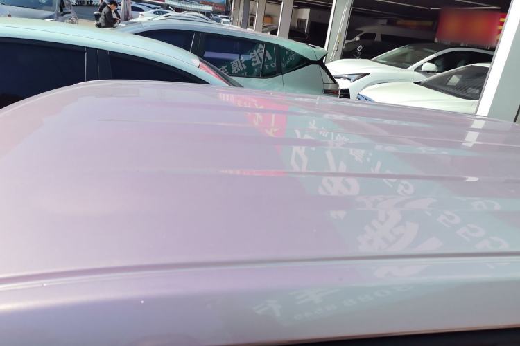 Used  Panda 2023 Panda Mini 200km Endurance Bear