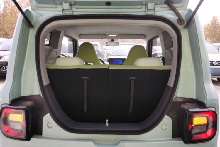 Used  Panda 2024 Panda Mini 200km Endurance Bear
