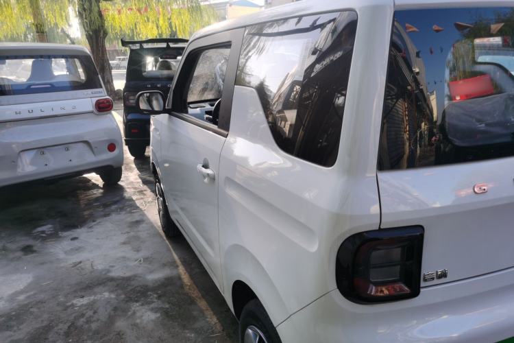 Used  Panda 2024 Panda Mini 200km Endurance Bear
