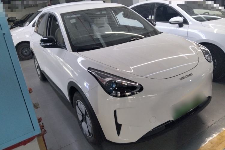 Used  Geome 2025 310km Youth Edition
