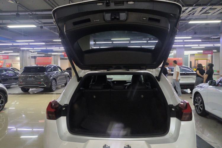 Used Lexus UX New Energy 2020 300e Pure·Joy Edition
