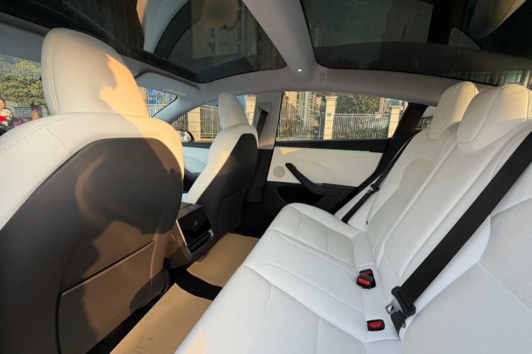 Used Tesla Model 3 2023 Rear-Wheel-Drive Version
