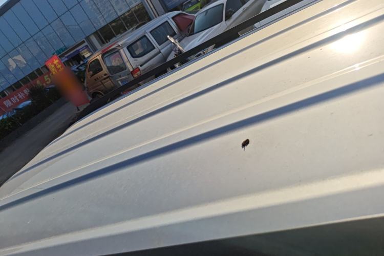 Used Wuling Zhiguang New Energy 
