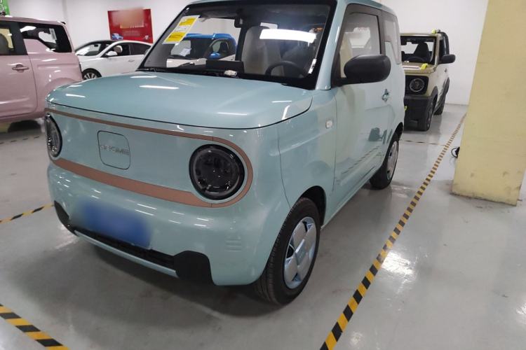 Used  Panda 2024 Panda Mini 200km Endurance Bear
