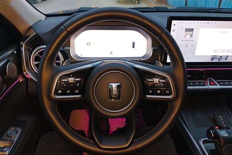 Used Tank 400 2025 2.0T Gasoline Version
