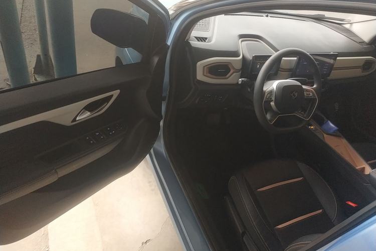 Used SOL E10X 2022 Flower Fairy Design Four-Leaf Clover
