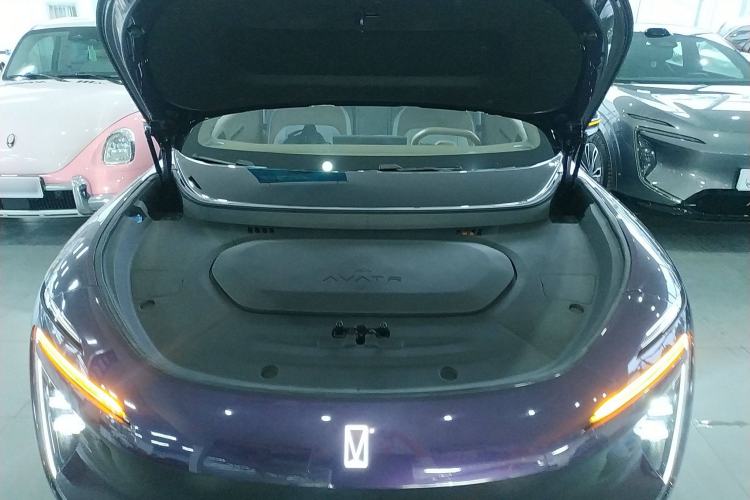 Used  07 2024 Max Extended-Range Edition
