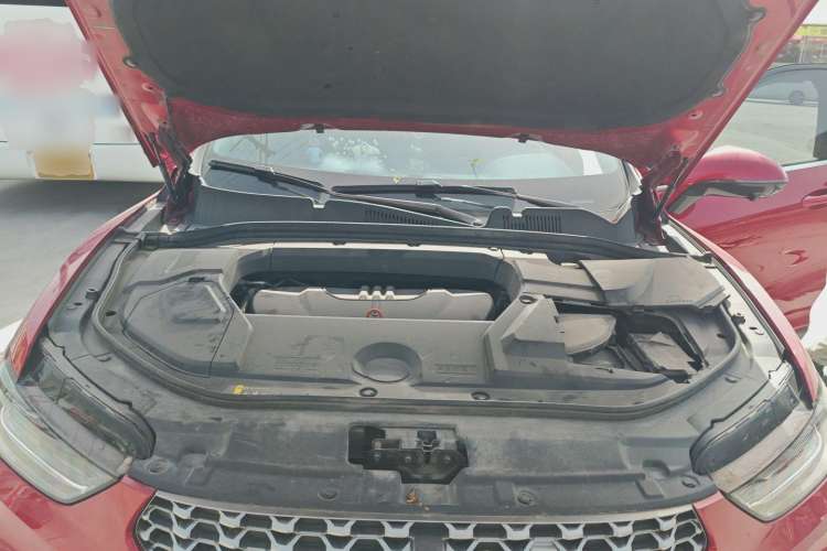 Used Wey VV5 2021 1.5T Two-Wheel Drive Color Pioneer
